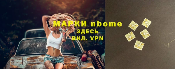 молекула духа Ельня