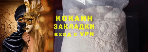 молекула духа Ельня