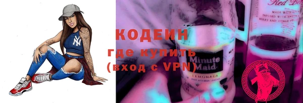 молекула духа Ельня