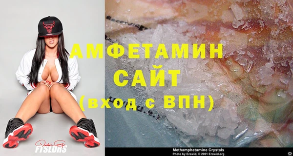 молекула духа Ельня