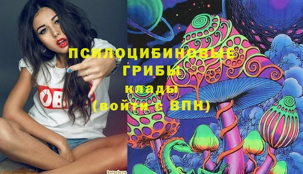 гидра Дмитровск
