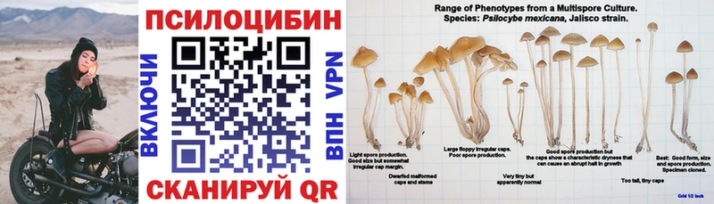 Галлюциногенные грибы Psilocybine cubensis  закладка  Нефтекамск 